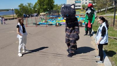 img-01